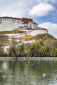 寺院摄影照片_西藏布达拉宫风景摄影图