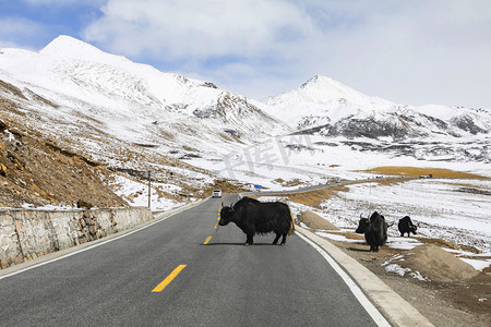 西藏公路风光摄影图