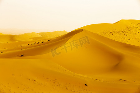 腾格里沙漠摄影图