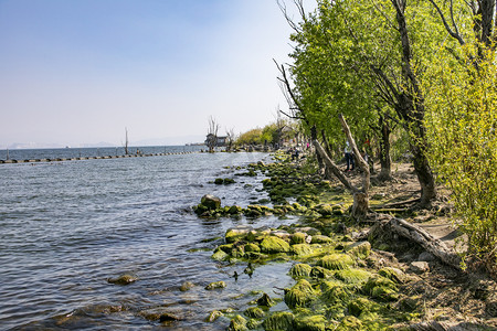 海景海边海岸自然风景摄影图