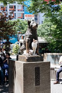 日本东京忠犬八公雕像摄影图