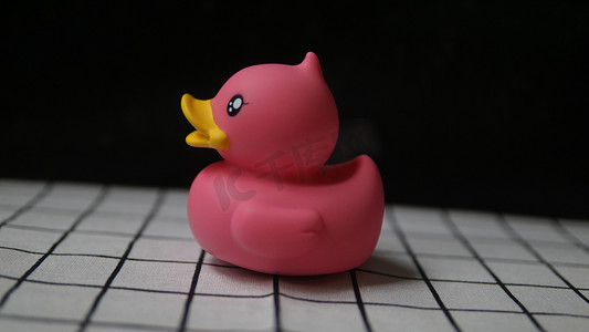 仿真小动物之粉色的小鸭子摄影图