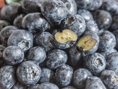 蓝莓水果摄影图