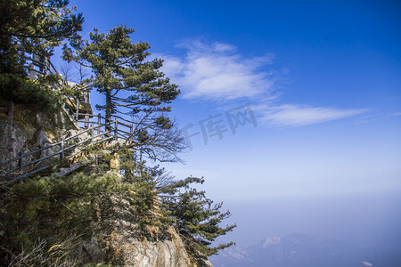 古树gif摄影照片_自然风光尧山古树摄影图