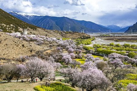 山水桃花摄影照片_西藏林芝桃花谷摄影图