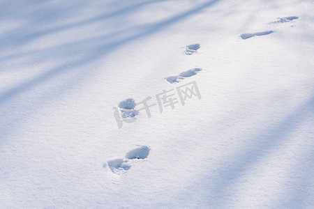 雪地雪景摄影照片_雪后雪地上一行脚印摄影图