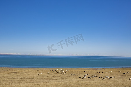 青海湖边摄影图