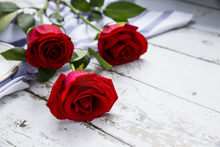 520花卉摄影照片_白丝绸玫瑰摄影图