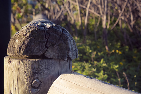 木头碗筷摄影照片_阳光下木头栏杆植物自然风景摄影图配图