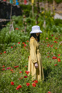 花丛里女孩摄影图