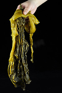 大鹅炖酸菜摄影照片_餐饮食材酸菜摄影图