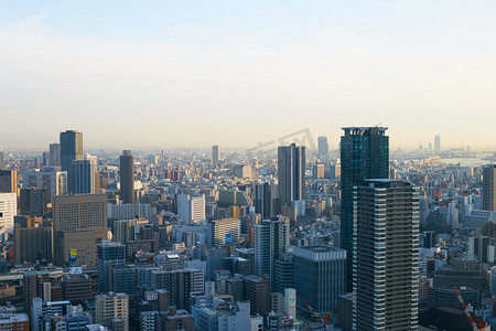 日本罗汉松摄影照片_日本大阪俯瞰城市摄影图