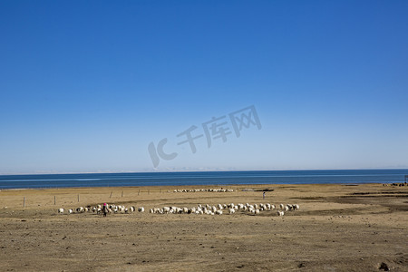 青海湖边摄影图