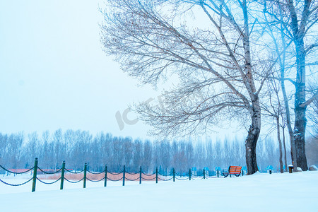 冬天白雪树木摄影图