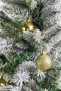 圣诞派礼摄影照片_松树上挂的圣诞球摄影图