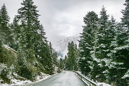 冬冬季摄影照片_松树公路山摄影图