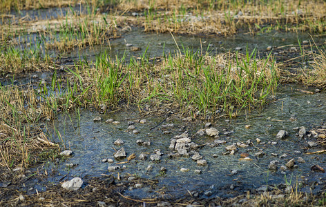 昆明宝丰湿地公园摄影照片_美丽湿地摄影图
