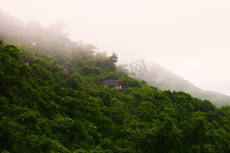 清晨夏天云雾深山自然风景摄影图