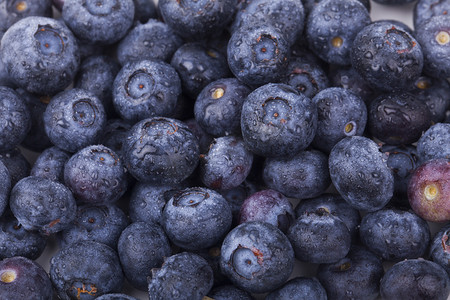 水果摄影照片_ 新鲜蓝莓摄影图 