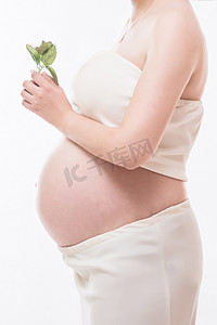 感恩母亲节创意字体设计矢量图摄影照片_手拿绿叶的孕妈