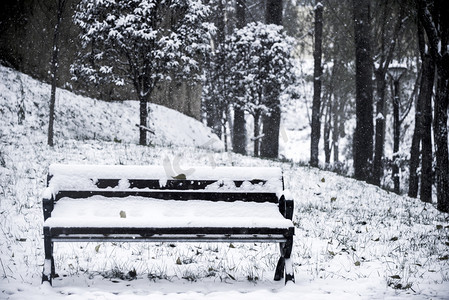 冬季拍摄地面白色雪椅子摄影图