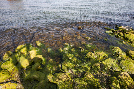 清澈水底摄影照片_湖泊水底清澈石头摄影图