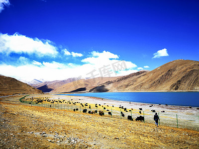 西藏土地自然风光摄影图