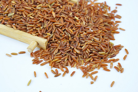 粮食红米摄影图