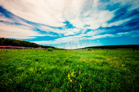 草原与蓝天摄影图