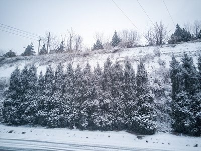 雪景系列之雪后山坡树木自然风景摄影图