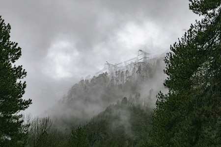 云雾森林摄影照片_西藏雪山风景摄影图
