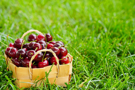 红灯笼动图摄影照片_草地上一篮美味水果红灯樱桃摄影图