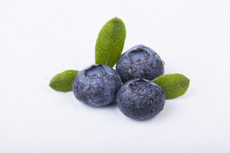 蓝莓果苗摄影照片_ 摄影图新鲜蓝莓
