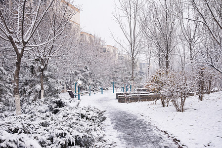 冬冬季摄影照片_大雪寒冷冬季街道雪景摄影图