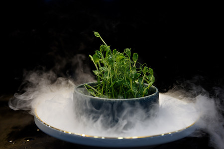 豌豆苗火锅食材蔬菜摄影图