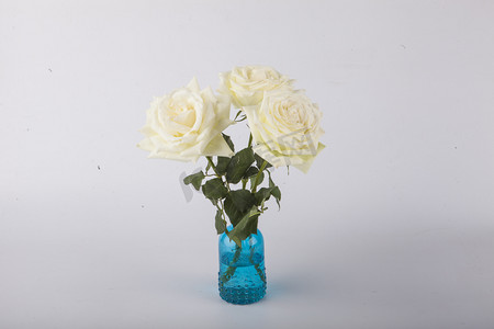 花瓶吹落摄影照片_三朵白色玫瑰花摄影图