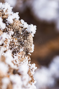 泥土摄影照片_雪花泥土场景摄影图