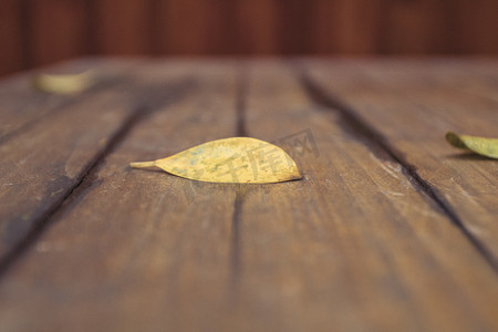 木板上落叶摄影图