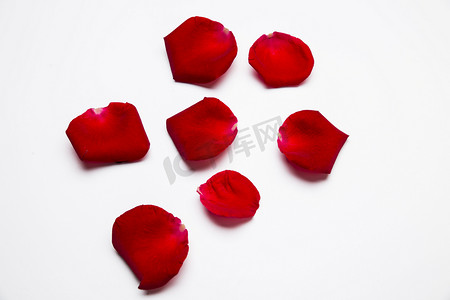 红玫瑰花花瓣摄影图