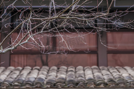 局部特写中式建筑物景摄影图