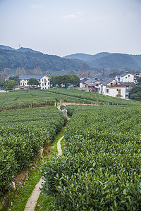 青色公益摄影照片_全景拍蓝天下远山前田园村庄白色传统村屋绿色田野