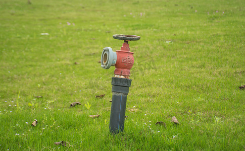 自然草坪摄影照片_草地里红色消防栓自然风景摄影图