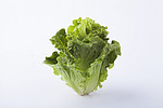一颗竖立的新鲜蔬菜生菜摄影图配图 