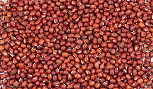 世界粮食日摄影照片_红豆豆类摄影图