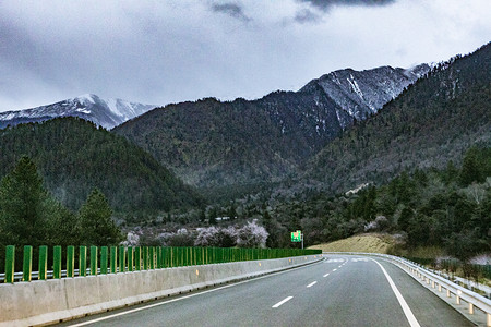 大山森林公路摄影图