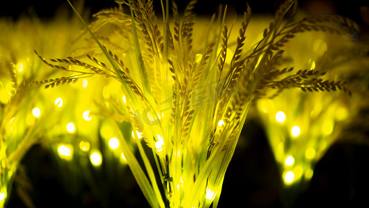 黄色灯光摄影照片_城市夜景系列之灯光麦穗摄影图