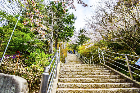 登山摄影照片_日本登山赏樱的长阶梯摄影图