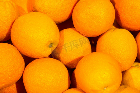 十月摄影照片_橙子橘子摄影图