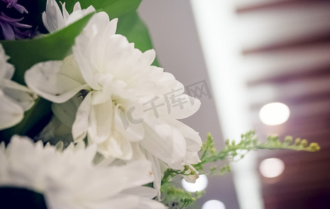 室内清新白色菊花摆设照片特写摄影图