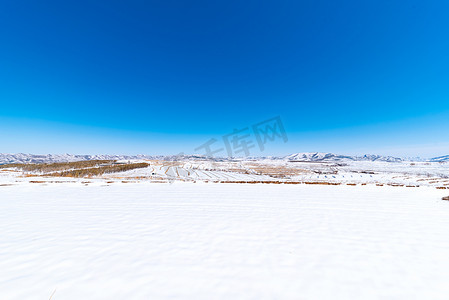 雪地里的紫貂摄影照片_草原雪地蓝天美景摄影图